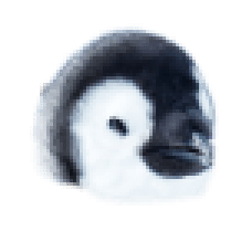 ペンギン