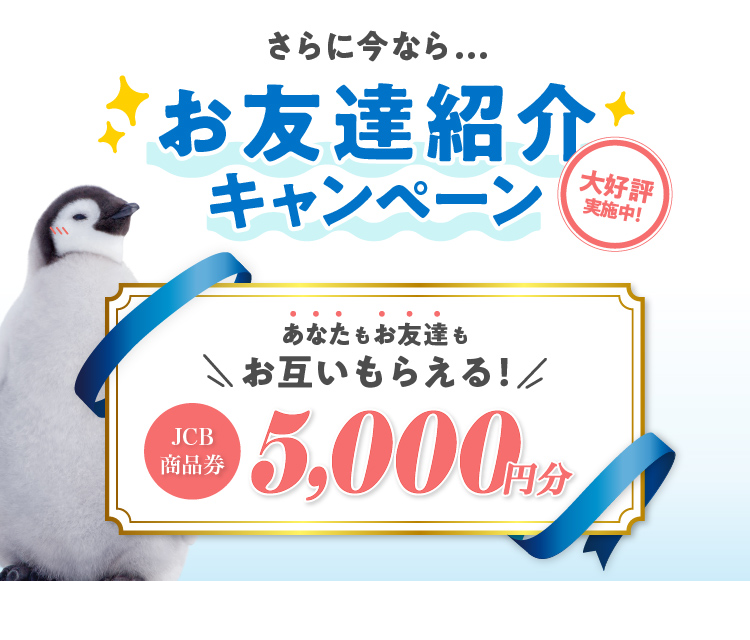 新春お年玉キャンペーン実施中