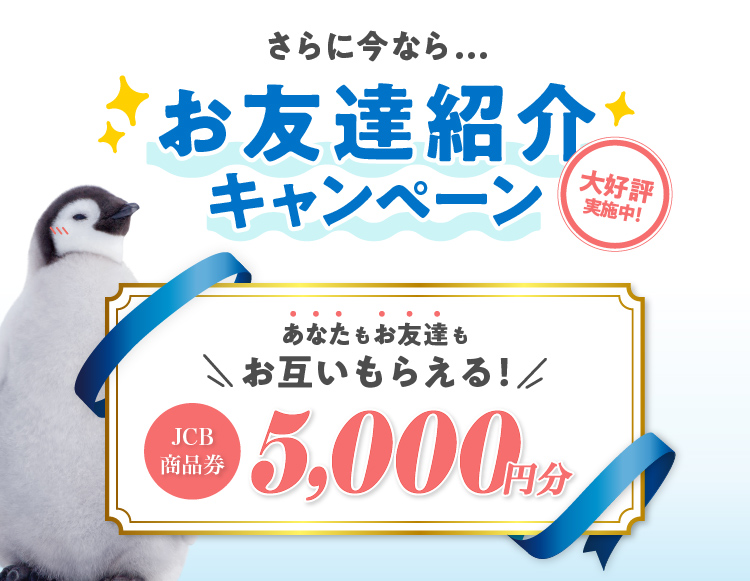 新春お年玉キャンペーン実施中